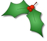 holly